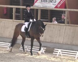 dressage horse Laveron (Hanoverian, 2007, from Lauries Crusador xx)