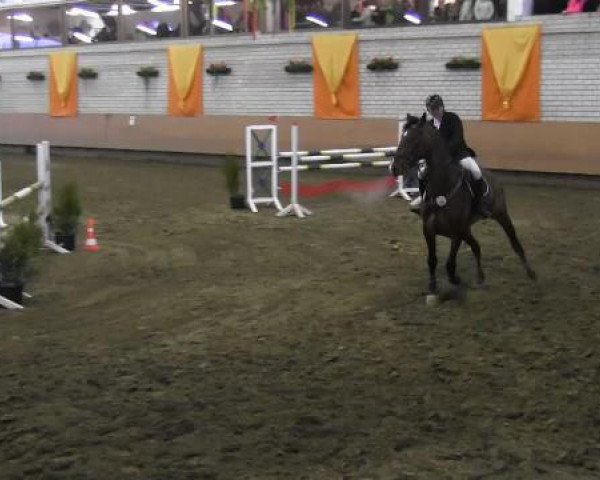 jumper Caspian Blue (Westphalian, 2008, from Captain Fire)