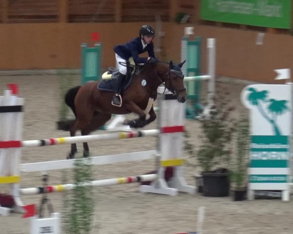 Reitturnier Xanten - Reitanlage Miss 2020