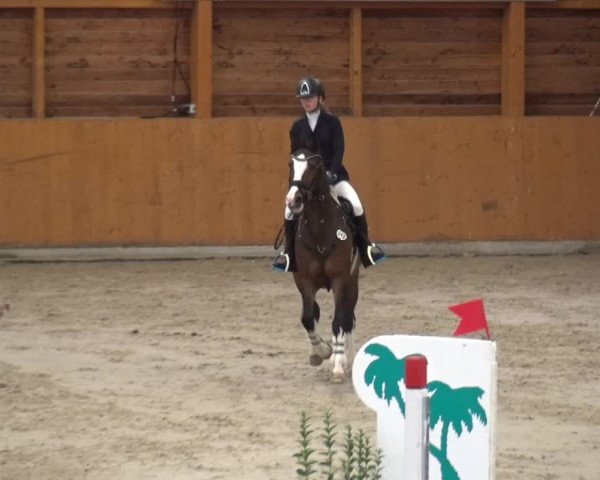 Reitturnier Xanten - Reitanlage Miss 2020