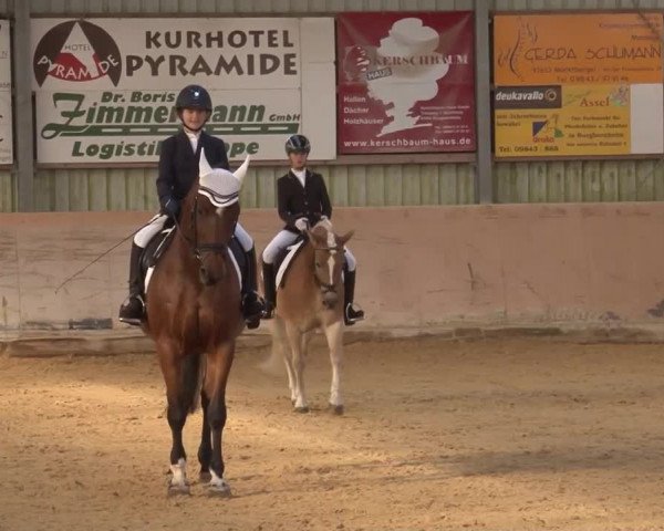 Reitturnier Bad Windsheim/Mfr. 2020