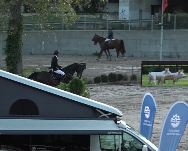 Reitturnier Basel Schänzli 2020