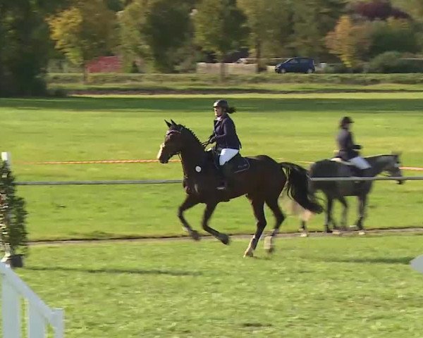 Reitturnier Bad Windsheim/Mfr. 2020