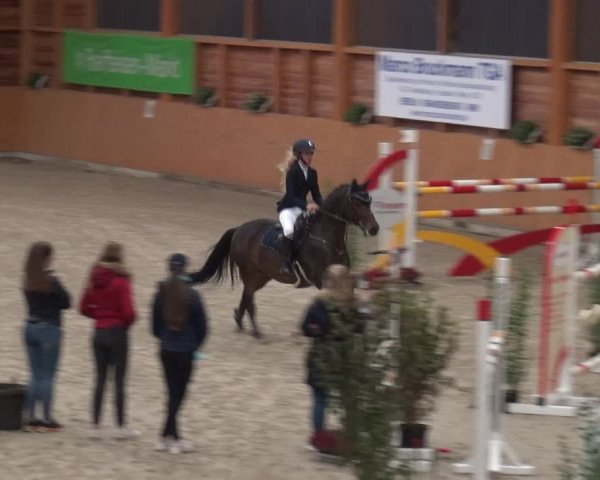 Reitturnier Xanten - Reitanlage Miss 2020