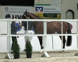 horse Ballon d'Or (Oldenburg, 2010, from Balou du Rouet)