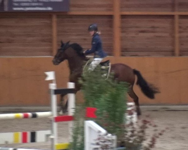 Reitturnier Xanten - Reitanlage Miss 2020