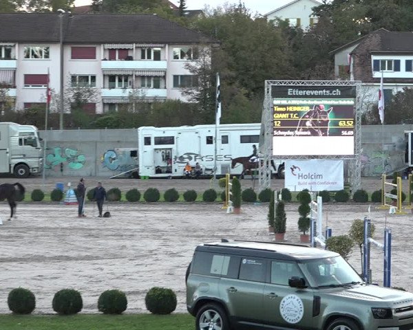 Reitturnier Basel Schänzli 2020