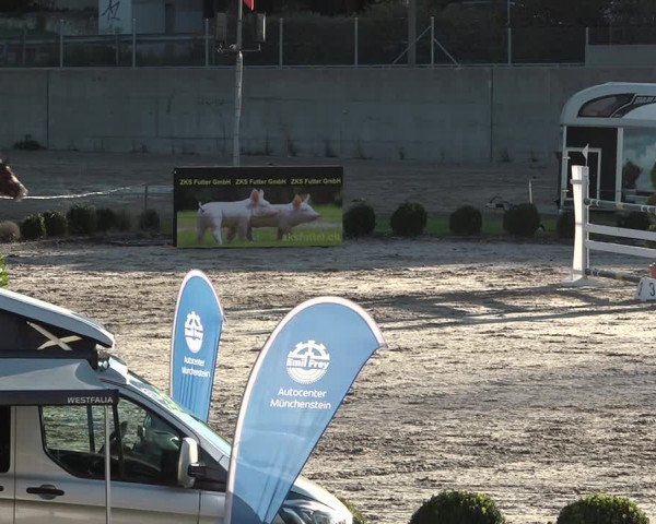 Reitturnier Basel Schänzli 2020