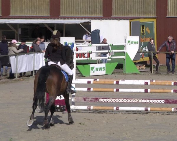 Reitturnier Herxheim 2020