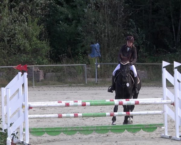 Reitturnier Herxheim 2020