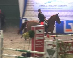 Springpferd Wat Ne Deern S (Oldenburger, 2008, von Cyrus)