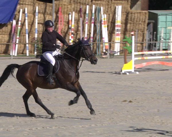 Reitturnier Herxheim 2020