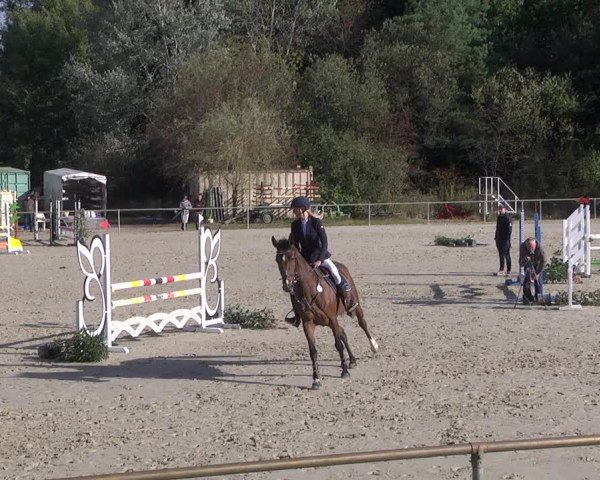 Reitturnier Herxheim 2020