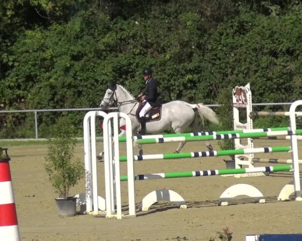 Reitturnier Ladenburg 2020