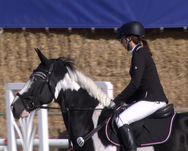 Reitturnier Herxheim 2020