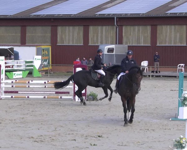Reitturnier Herxheim 2020