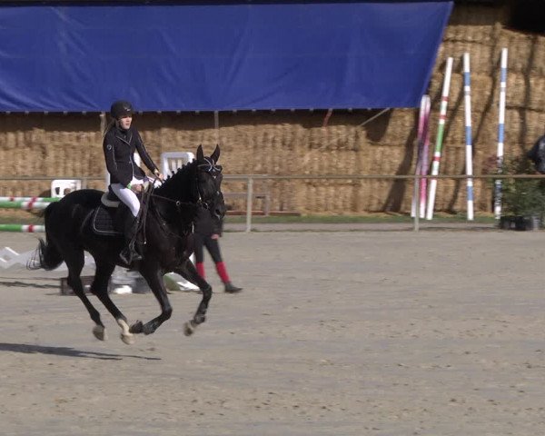 Reitturnier Herxheim 2020