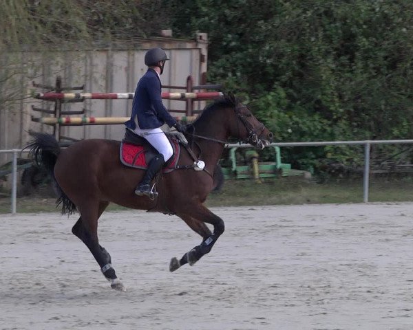 Reitturnier Herxheim 2020