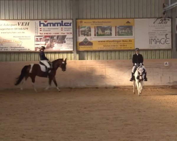 Reitturnier Bad Windsheim/Mfr. 2020