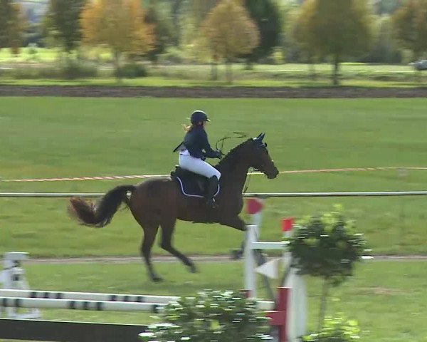 Reitturnier Bad Windsheim/Mfr. 2020