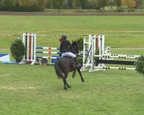 Reitturnier Bad Windsheim/Mfr. 2020