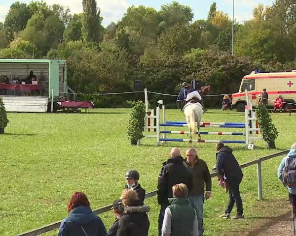 Reitturnier Bad Windsheim/Mfr. 2020