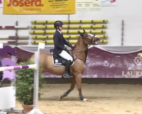 jumper L'Amour 105 (Mecklenburg, 2008, from Le Tot de Semilly)