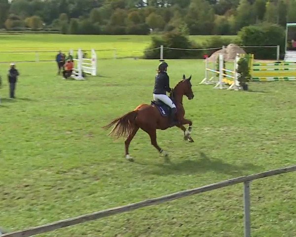 Reitturnier Bad Windsheim/Mfr. 2020