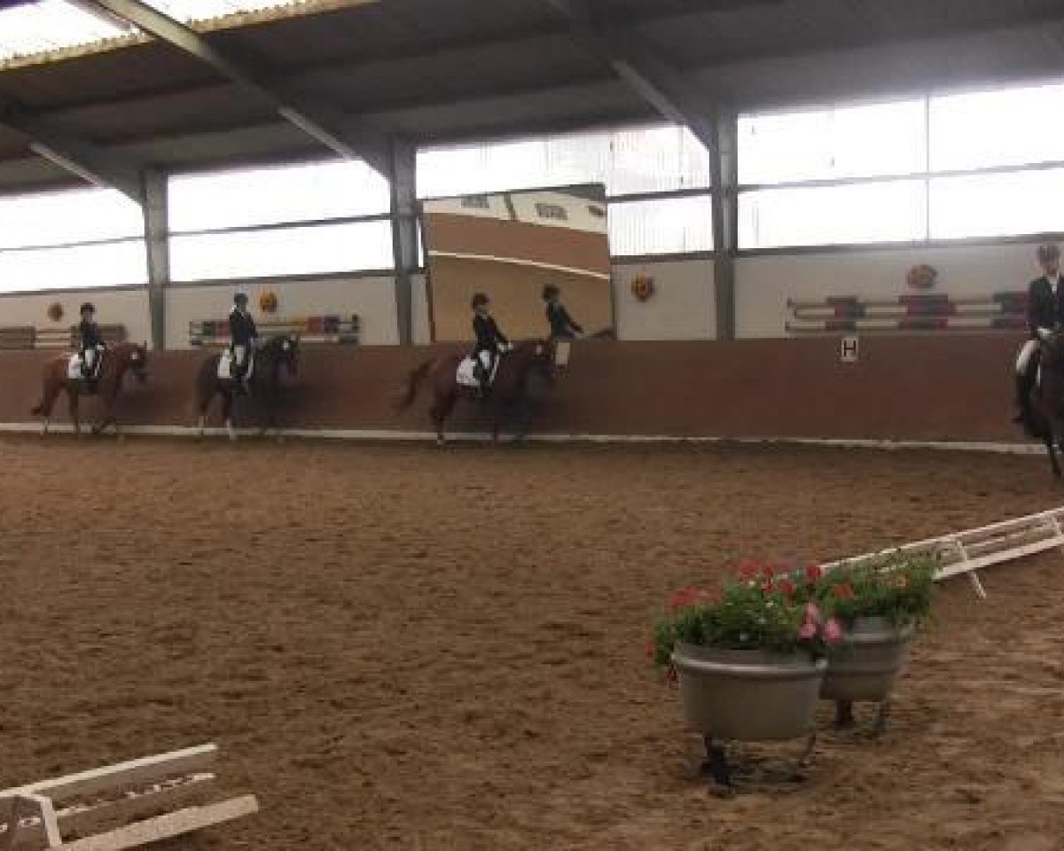 jumper Deluxe 24 (German Riding Pony, 2009, from Domingo)