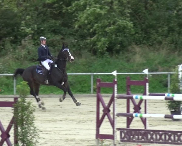 Reitturnier Ladenburg 2020