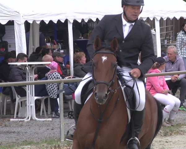 Reitturnier Herxheim 2020
