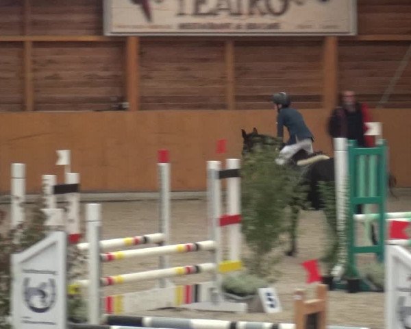 Reitturnier Xanten - Reitanlage Miss 2020