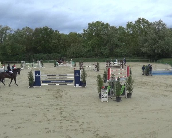 Reitturnier Ladenburg 2020