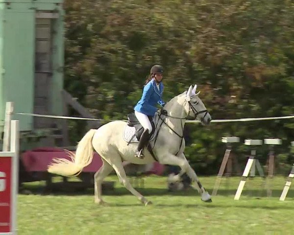 Reitturnier Bad Windsheim/Mfr. 2020