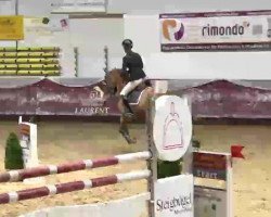 jumper Alonso 55 (Bavarian, 2009, from Aperol 4)
