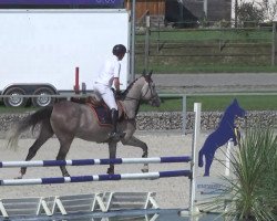 jumper Aspen 25 (Württemberger, 2009, from Aperol 4)