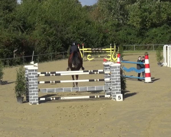 Reitturnier Ladenburg 2020