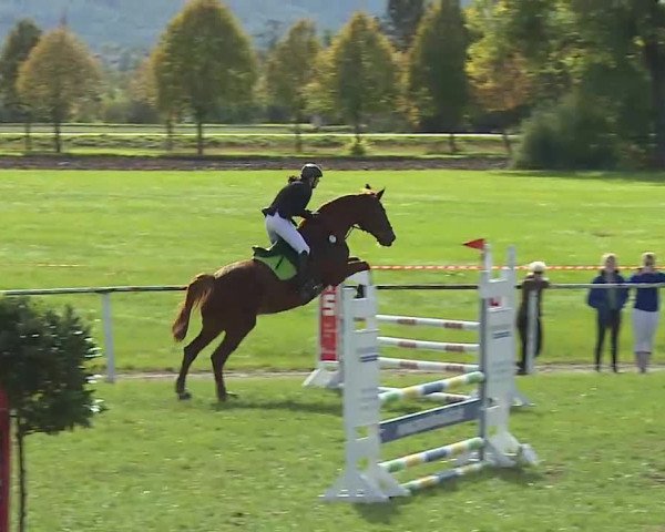Reitturnier Bad Windsheim/Mfr. 2020