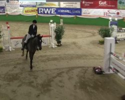 jumper Comeback 31 (Rhinelander, 2007, from Cristallo I)