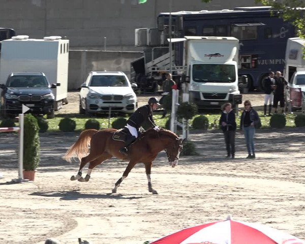 Reitturnier Basel Schänzli 2020