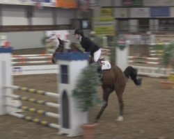 broodmare Franziska 221 (Hanoverian, 2009, from For Pleasure)