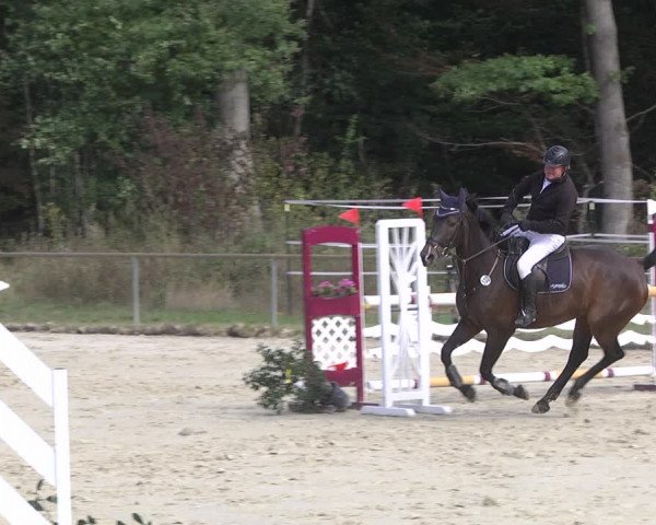 Reitturnier Herxheim 2020