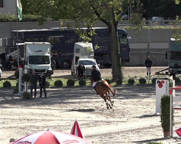 Reitturnier Basel Schänzli 2020