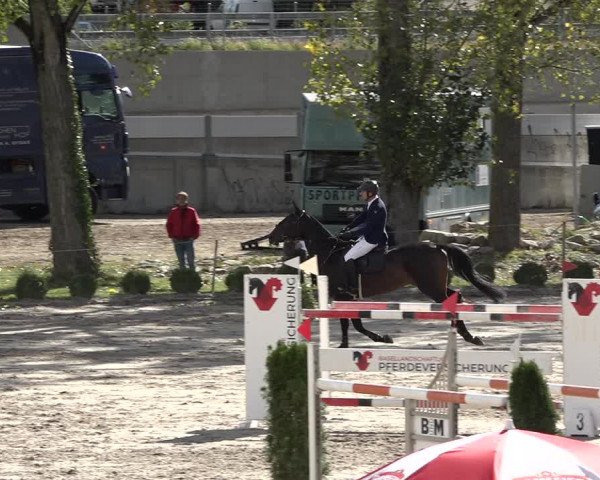 Reitturnier Basel Schänzli 2020