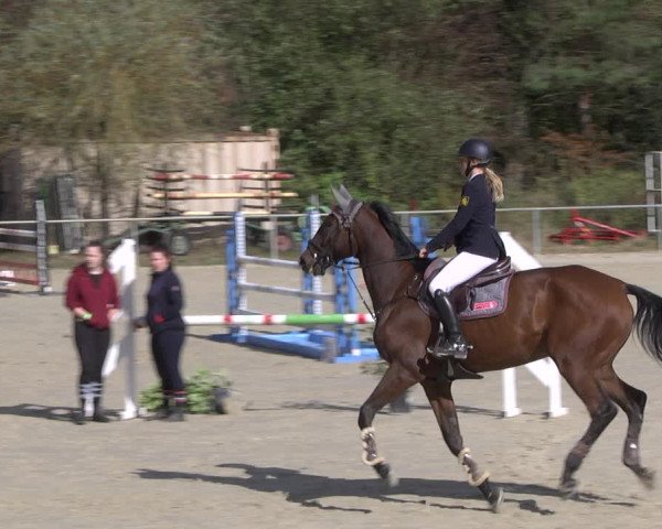 Reitturnier Herxheim 2020