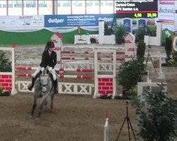 Horse Cartani-Coco 1 (unknown,  )