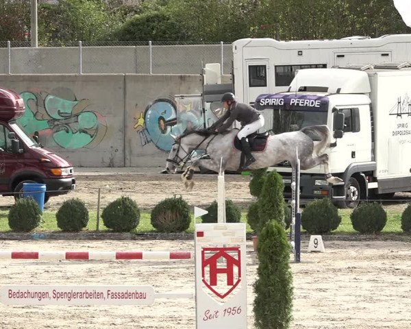 Reitturnier Basel Schänzli 2020