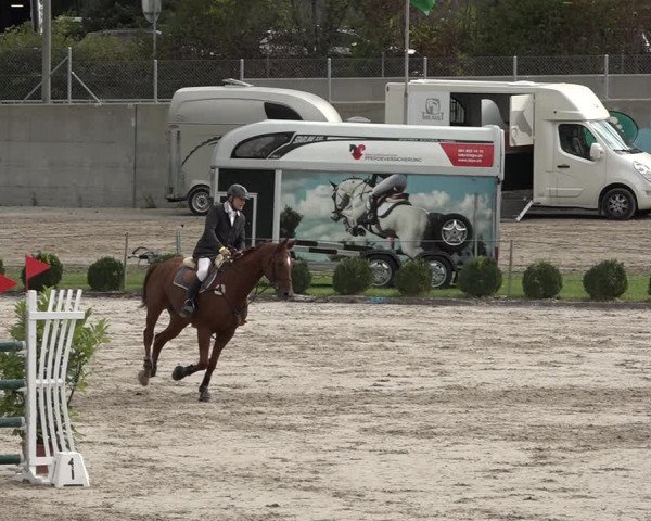 Reitturnier Basel Schänzli 2020