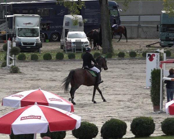 Reitturnier Basel Schänzli 2020