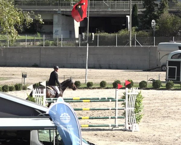 Reitturnier Basel Schänzli 2020